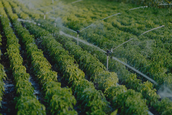 Agricultural irrigation